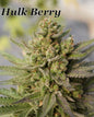 Hulk Berry