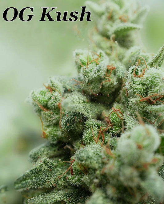 OG Kush